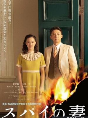 《青禾纪事》治愈系动漫 小镇书店插画